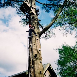  Disfrule de esto experiencia única de rappel 